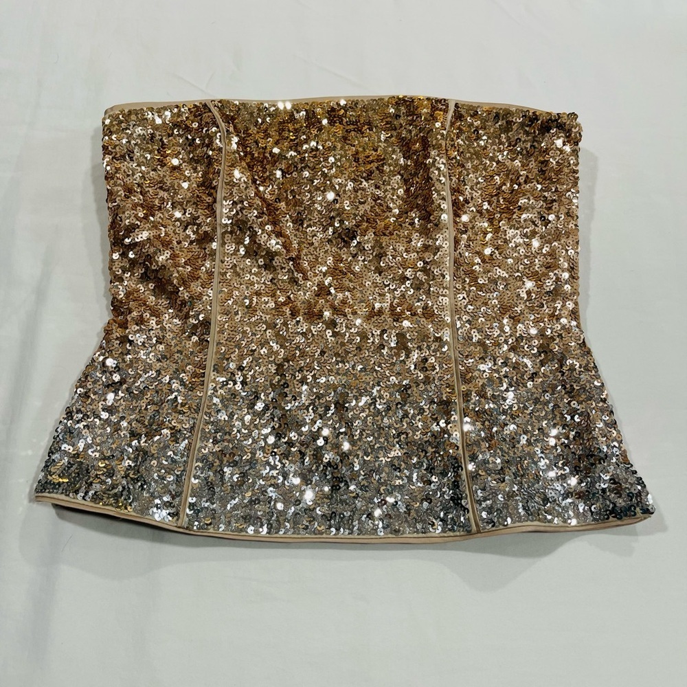 White House Black Market | NWT | Ombré Sequin Bustier | 10